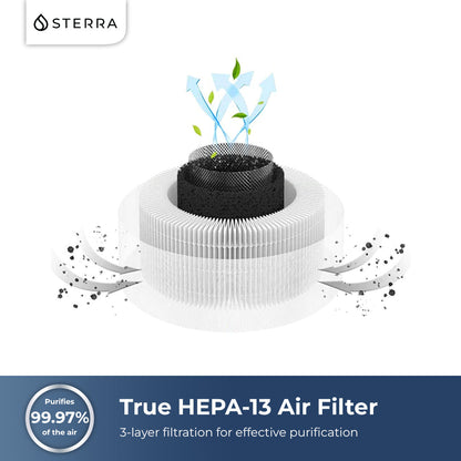 2 Sterra Moon™ Air Purifier With 4 Free Filters